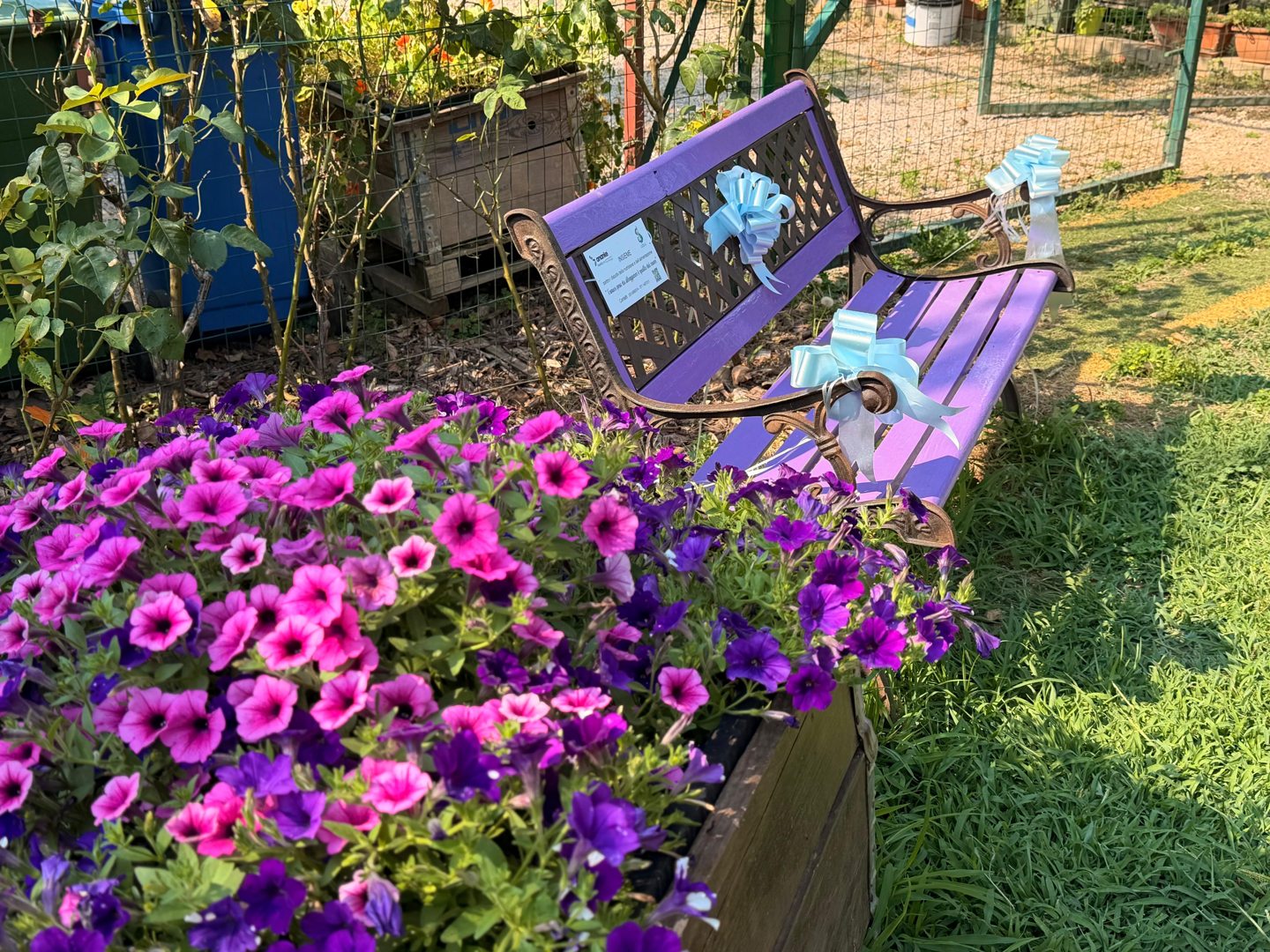 La panchina lilla per Camilla nel giardino, decorata con fiocchi azzurri e circondata da fiori